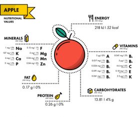 Apple nutritional Information vector