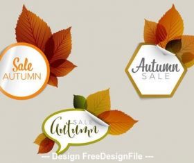 Autumn sale sticker icon vector