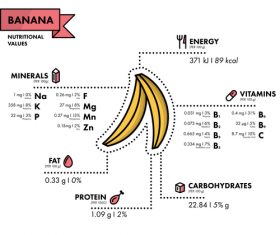 Banana nutritional Information vector