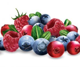Berry 3d illustration vector