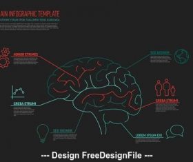 Brain infographic vector