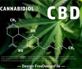 CBD oil infographic with molecular formula illustrations vector