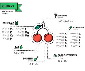 Cherry nutritional Information vector