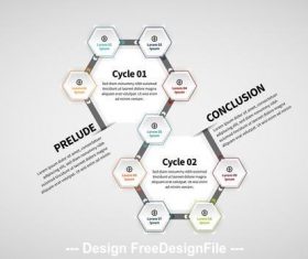 Hexagonal infographic layout vector