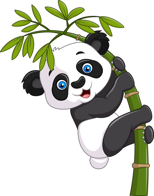 Panda and bamboo vector