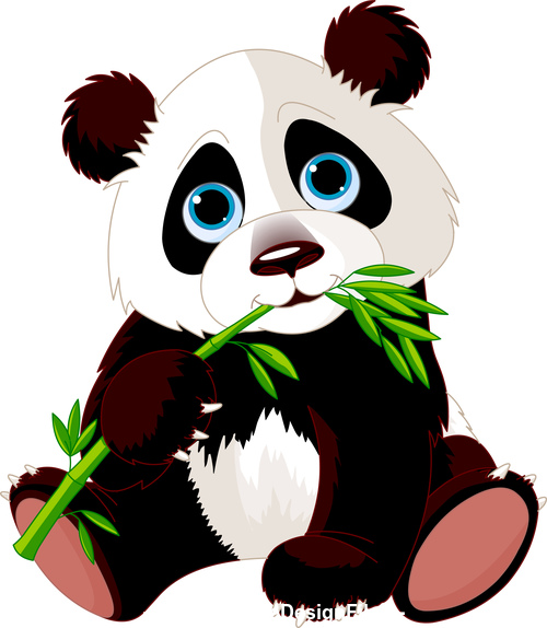 Panda sitting on the ground eating bamboo   vector