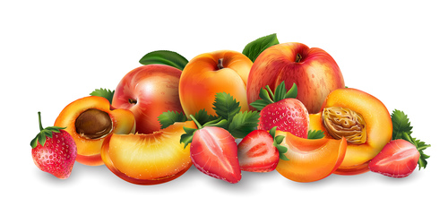 Peach and apple banner vector