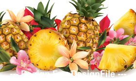 Pineapple fruit banner vector