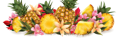 Pineapple fruit banner vector
