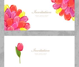 Tulip flowers card vector