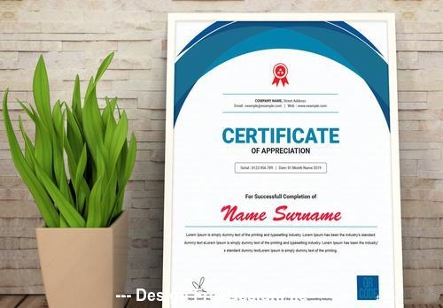 Vertical certificate layout with blue vector