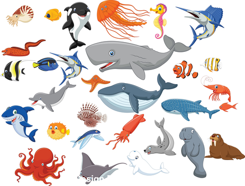 Cartoon sea animals vector free download