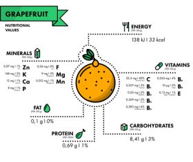 Grapefruit nutritional Information vector