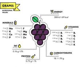 Grapes nutritional Information vector