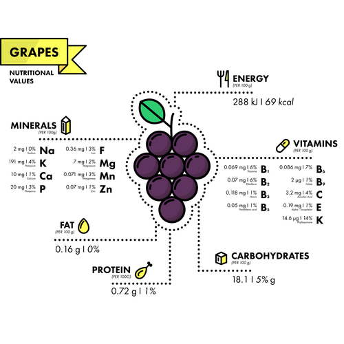 Grapes nutritional Information vector