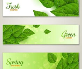 Green spring leaf banner with water drop vector