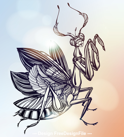 Hand drawn mantis icon vector