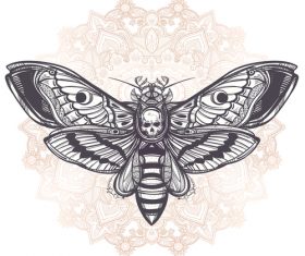 Insect hand drawn pattern vector