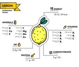 Lemon nutritional Information vector