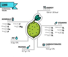 Lime nutritional Information vector