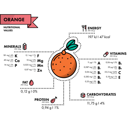 Orange nutritional Information vector