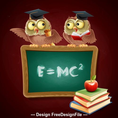 Owl diploma vector