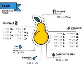 Pear nutritional Information vector