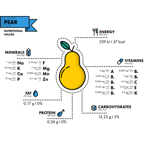 Pear nutritional Information vector