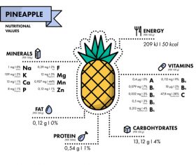 Pineapple nutritional Information vector