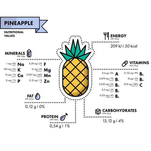 Pineapple nutritional Information vector