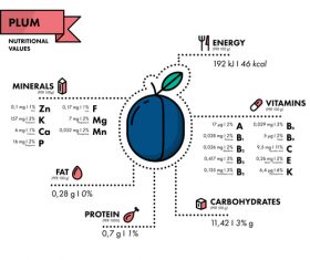 Plum nutritional Information vector