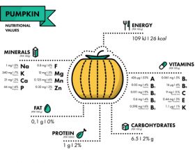 Pumpkin nutritional Information vector