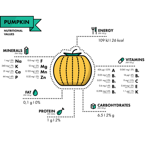 Pumpkin nutritional Information vector