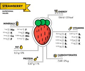 Strawberry nutritional Information vector