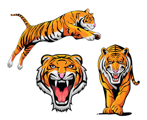 Tiger cartoon vector