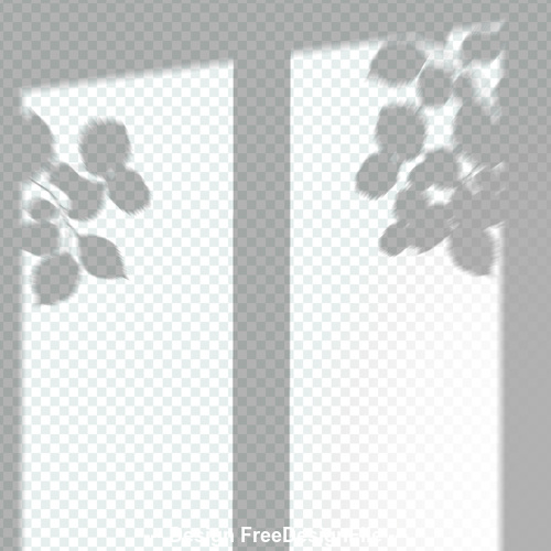 Transparent window shadow leaves effect vector