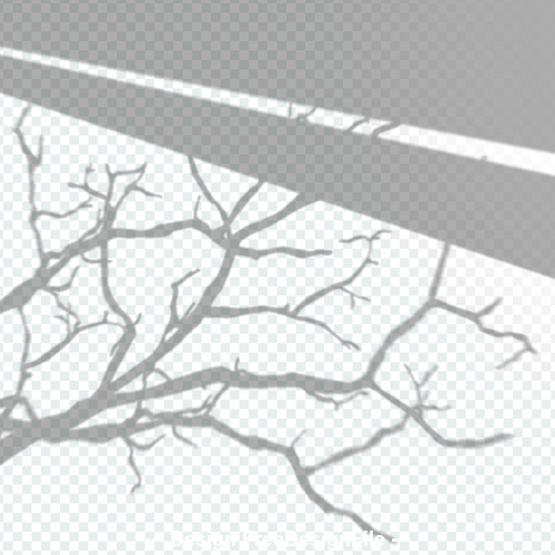 Transparent window shadow tree effect vector
