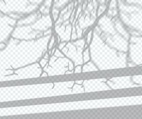 Tree branch transparent shadow effect vector