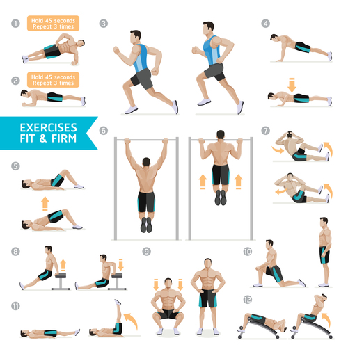 Weight exercises icon vector
