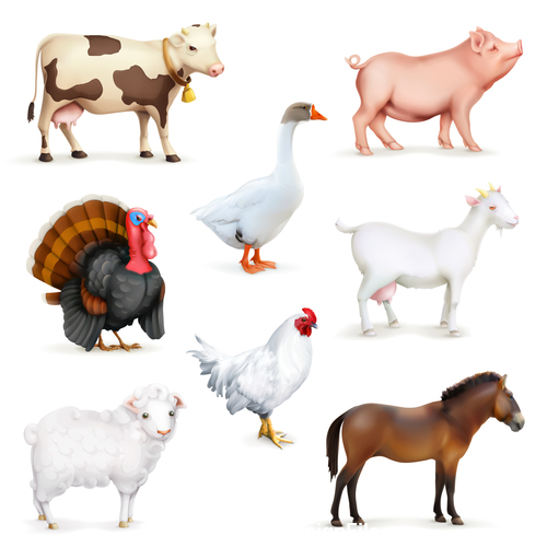 Animals and birds farm set of vector icons