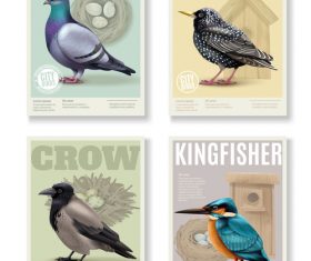 Birds cover card vector