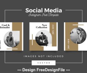 Business social media template vector