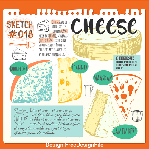 Cheese sketch illustration vector
