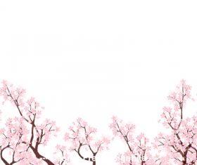Cherry blossom vector on white background