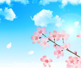 Closeup cherry blossom illustration vector