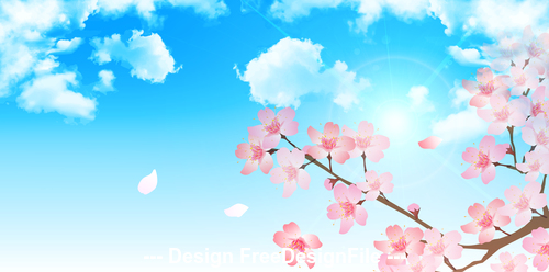 Closeup cherry blossom illustration vector free download