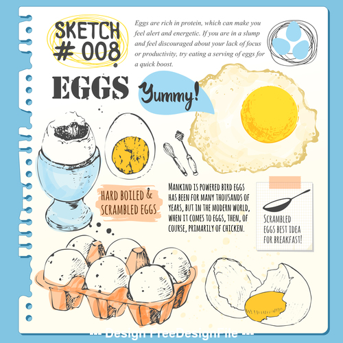 Egg sketch illustration vector