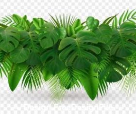 Emerald plant leaves vector illustrations