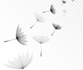 Flying dandelions vector illustrations