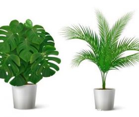 Green plants vector illustrations